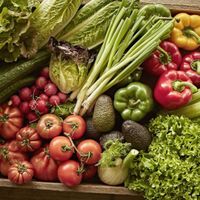 Calidad del Producto La Bodeguita de María