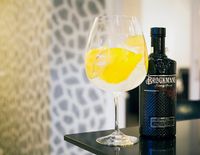 Gin Club La Bodeguita de Mar&iacute;a (3)